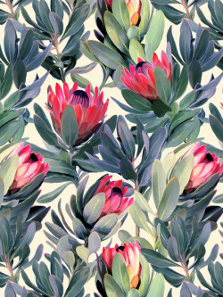 bestof-society6:    ART PRINTS BY MICKLYN    Painted Protea Pattern   Shabby Chic Hibiscus Patchwork Pattern in Peach &amp; Mint   Butterflies and Hibiscus Flowers - a painted pattern   Waiting on the Blooming - a Tulip Pattern   Sunflowers Forever 