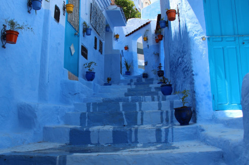 latinoking:Chefchaouen, the blue city of Morocco
