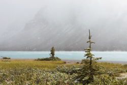expressions-of-nature:  Snow in August by Jaclyne