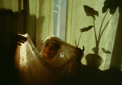 ofskfe:  Jewish bride wearing a shawl in