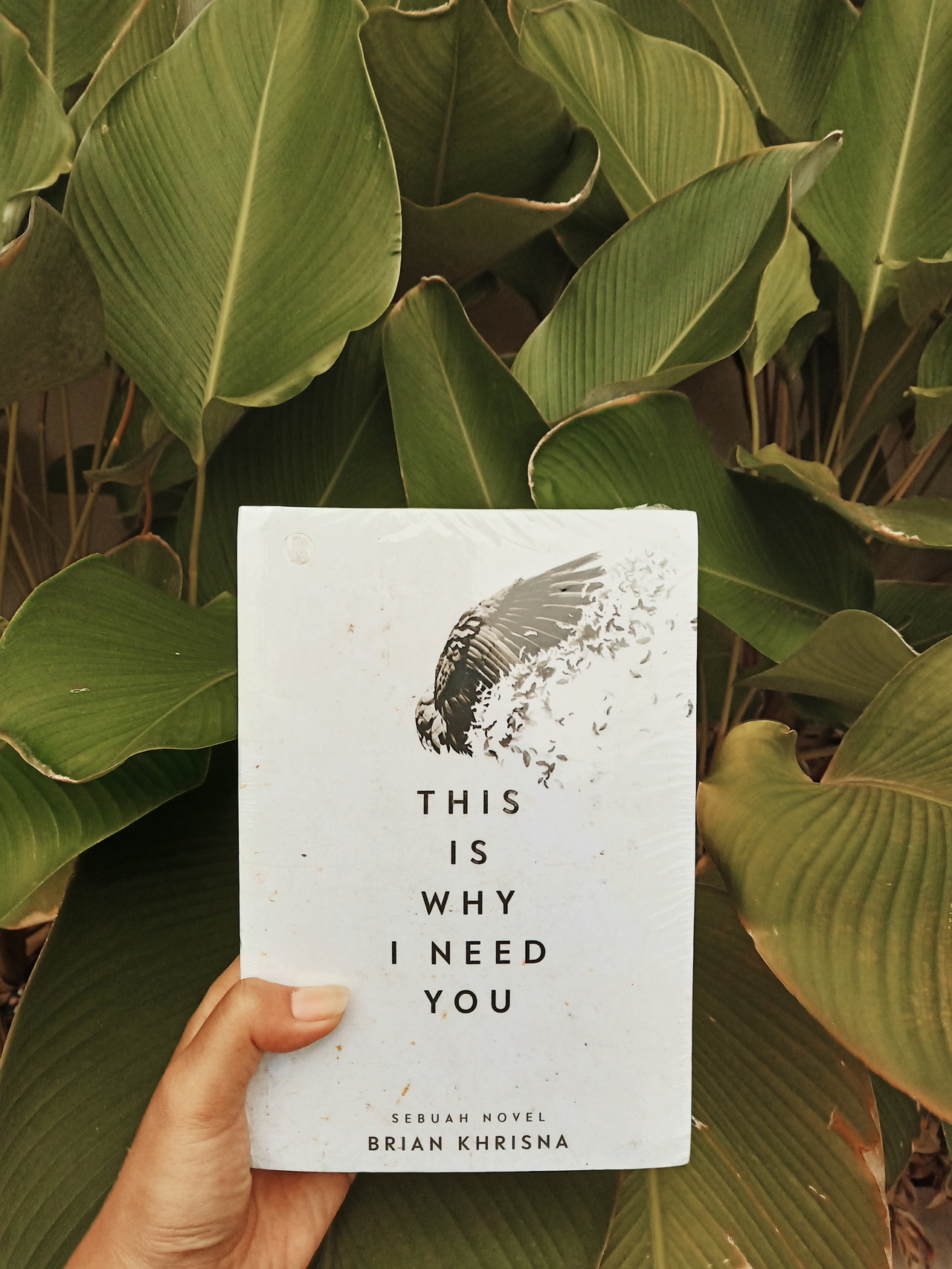 baca novel | Tumblr