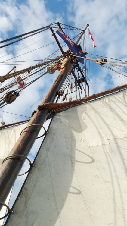 whitemanticore: Sailing on Melbourne’s tall ship, the Enterprize.