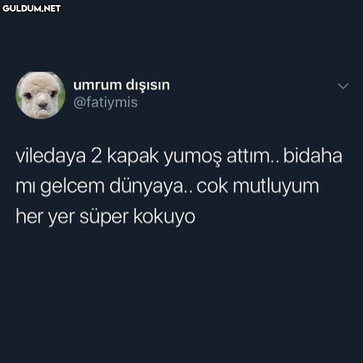 umrum dişisın @fatiymis...