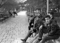 glamcandy5:  Greasers - 1950’s 