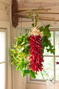 thisoldhouse:  Herb Drying Basics (Photo: Mark Lohman)  Drying herbs doesn’t require special equipment. Just hang stems upside down in loose bundles, out of direct sunlight. Keep bundles small; big ones tend to get moldy. Hang bunches far enough apart