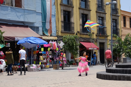 Flying a kite in Mexico City