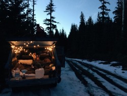 snowy nights & christmas lights