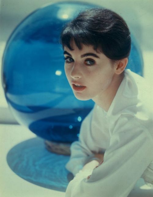 Millie Perkins (born Passaic, NJ, 12 May 1938)