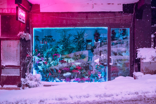 redlipstickresurrected:Elsa Bleda (French-Turkish, b. 1988, Aix-les Bains, France, based Johannesbur