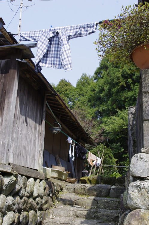 風にはためくシャツ（Yoshino.Nara） なんとなく、洗濯物いいなあ、と思ったのでした。