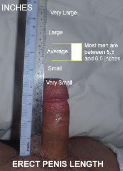 ronbo1112: wankinhank:  dickshorter: measureyourcock:  Useful scale, dontcha think? 