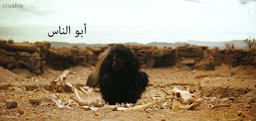 hissa-abdallah:  