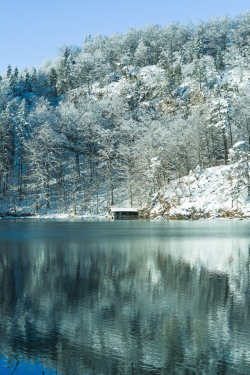 reflections on Alpsee, Southern Germany - January 2017Photo By: Saskia Kovandzich