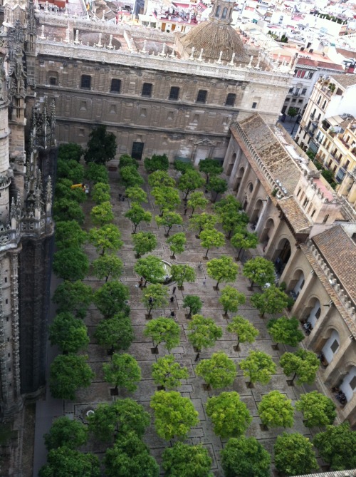 abby-wray: Seville Cathedral Seville Spain October 2012