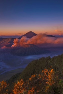 sundxwn:  Highlight 4 by Anton Raharja 