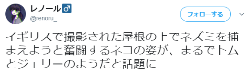dontrblgme404:  レノール♂さんのツイート: “イギリスで撮影された屋根の上でネズミを捕まえようと奮闘するネコの姿が、まるでトムとジェリーのようだと話題に https://t.co/dApxzIXJ3h”