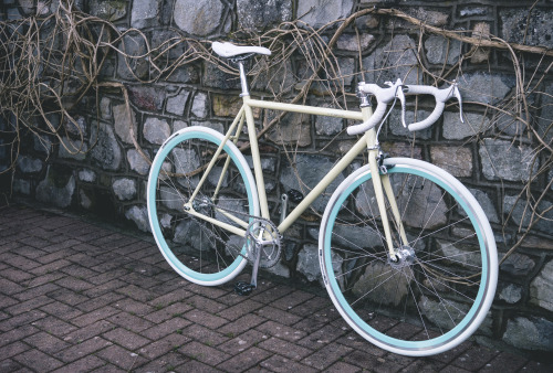 mmattie:  Finished building my new bike.