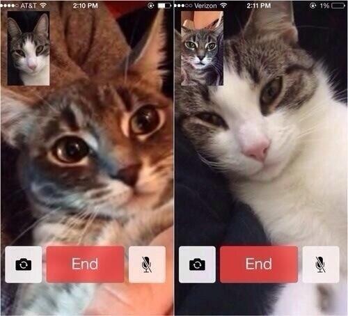 2sidesto1story:Awwwww