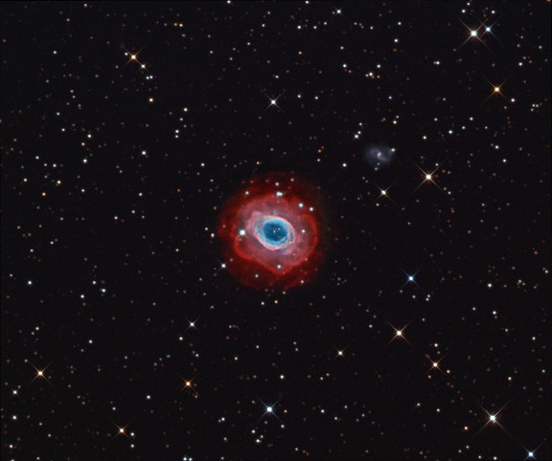 galaxyshmalaxy: M57, The Ring Nebula “wide version” (by Terry Hancock www.downunderobser