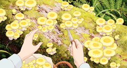 glazedeye-s:studio ghibli + nature scenario