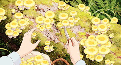 glazedeye-s:studio ghibli + nature scenario