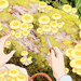 glazedeye-s:studio ghibli + nature scenario
