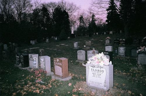 graceandgirlhood:  Mausoleum Dreams by Dani Rose 