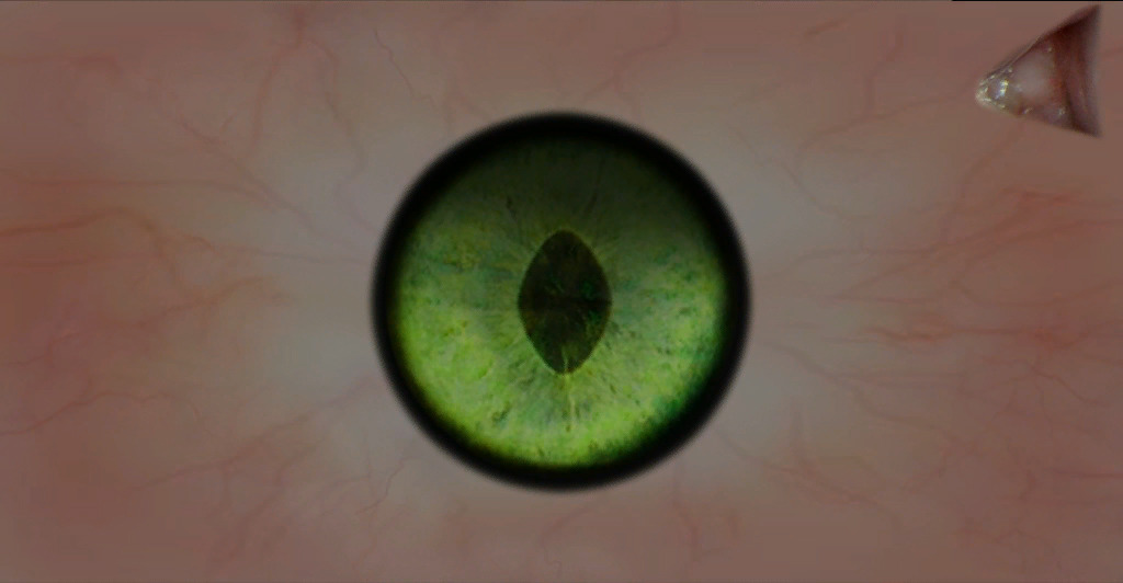 my-little-skyrim-corner-new-blood-elf-eye-textures-using-the-2nd-one