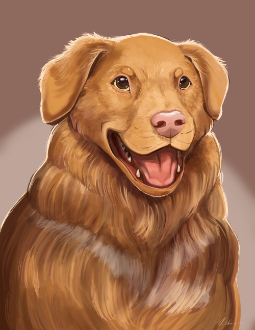 Commission of my friend’s in-law’s good doggo!