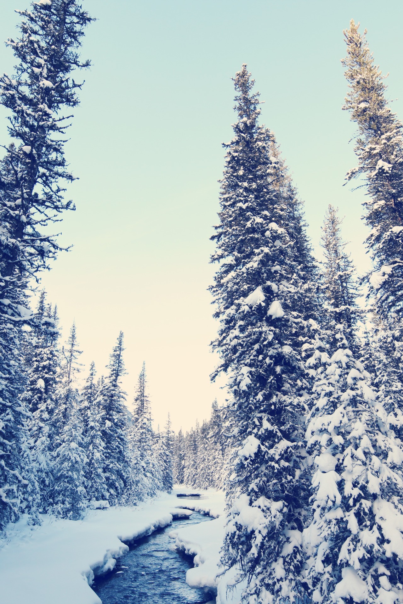 r2&ndash;d2:  Happy Holidays 
