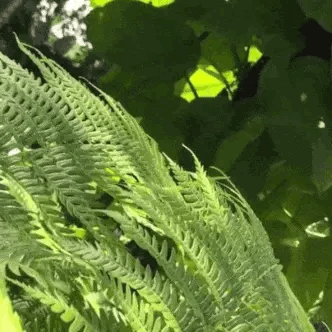 Color Of The Day: Green 