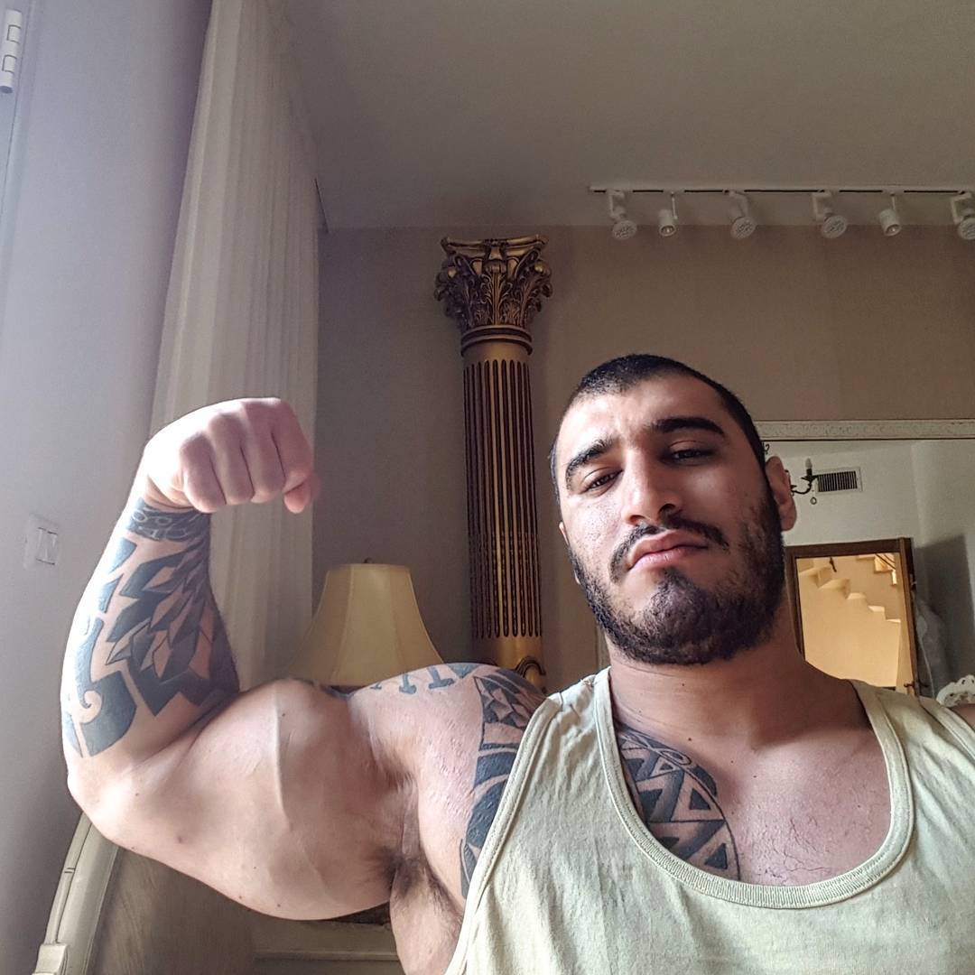 Aviv Mesika