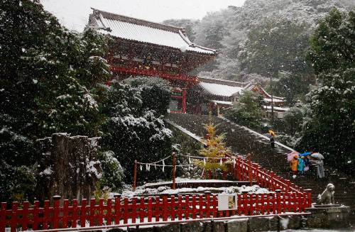 People walk in the snow at the Tsurugaoka Hachimangu Shrine in Kamakura, near Tokyo, on November 24,