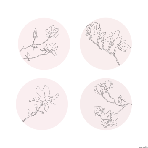 ana-mikh:  magnolias asked by anonymous 03/10/2017