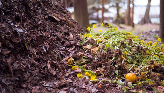 How to start a compost pile in 4 steps
Composting can be intimidating, even though it’s really very simple. If you’re resisting the trend because it seems messy and gross, let us clear the air.