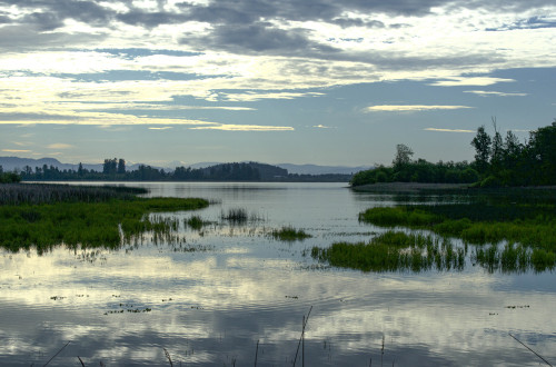 russell-tomlin:Spring Morning on Fern Ridge Lake