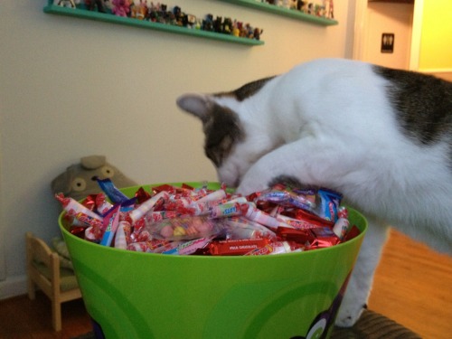 Come to my house, I’ve got some kit-kats and a lazy “costume”.