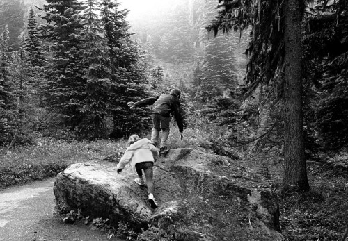 Into the Woods