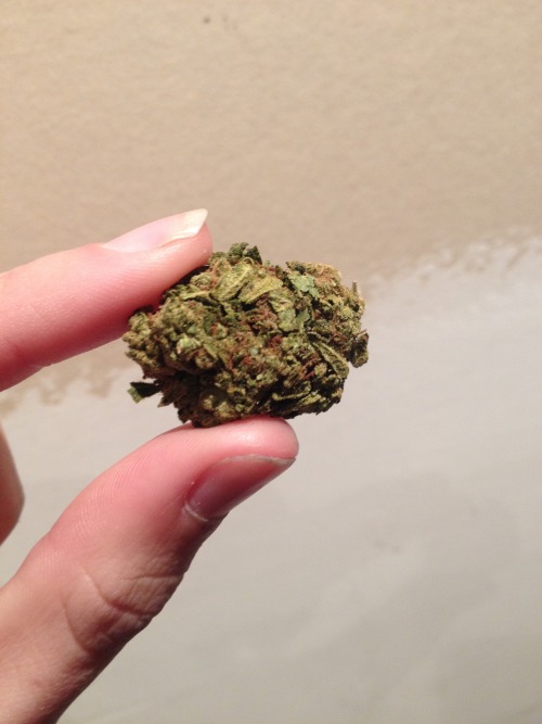 covertcannabis:  Until we meet again, Trainwreck. 