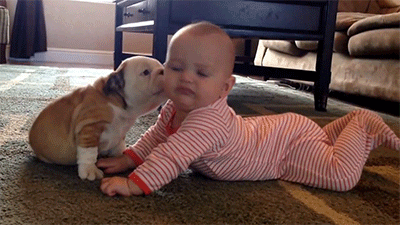 adreamdeferred:  leftbeer:  Oh god the puppy just wants to know why this humans as