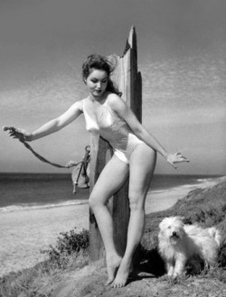 damsellover:  Julie Newmar