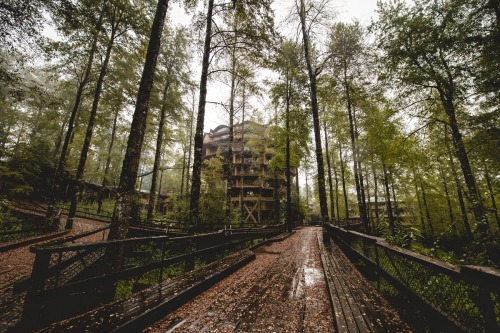 Porn luxuryaccommodations:  Nothofagus Hotel & photos