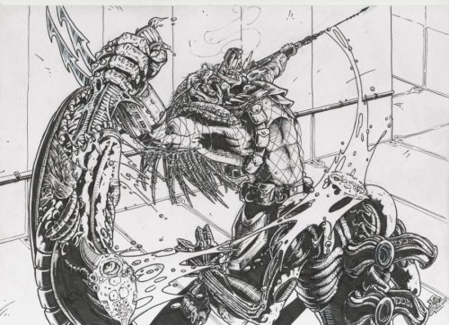 fuckyeahxenomorphs:  aliens vs predator by ~chriscatlin poor hardmeat :[ 