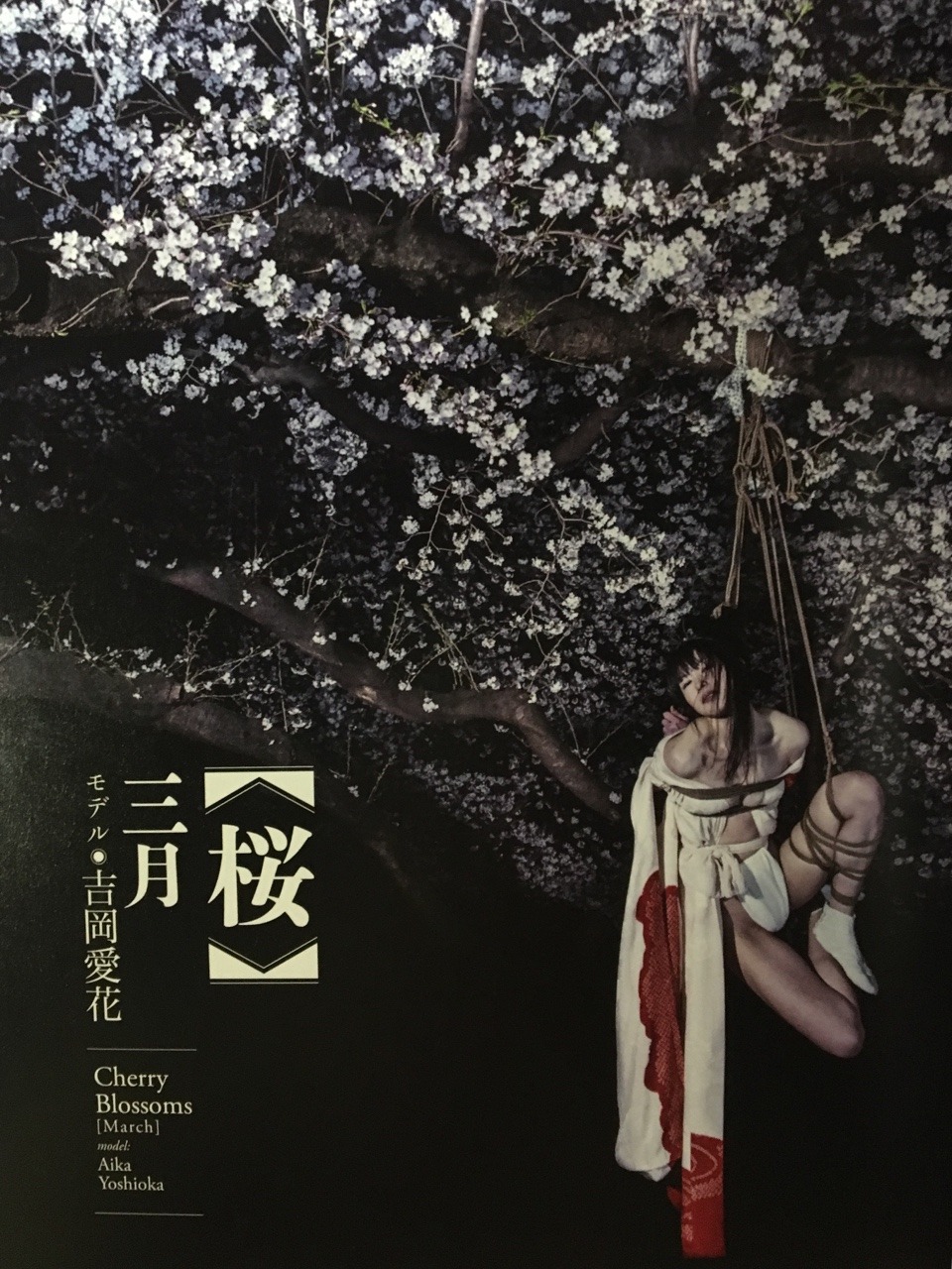 吉岡愛花　緊縛 緊縛ショーにモデルとして出演の吉岡愛花さんも3月の緊縛美人として登場しています。チケットはただいま店頭+Webにて販売中！こちらからどうぞhttps://mandarake.co.jp/information/event/nkn/kaiba/170325/i...  – @hippocampus-mdk on Tumblr