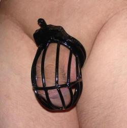 Boys In Chastity