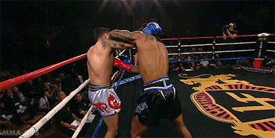 mma-gifs:  Lion Fight 21:Josh Shepard vs. Jose Lopez 