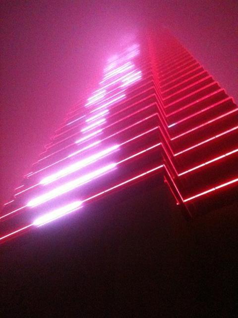 rainbowforests:  more pink here