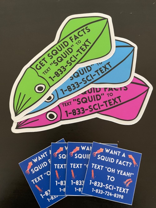 Fuck Yeah Squid Fact Stickers!!!!!!!!! Also Is The Cephalopod On The Card A Stamp? Its So Cute! Is It