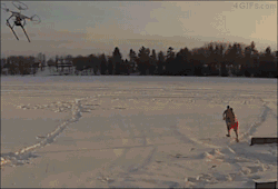 4gifs:  Hunting friends with a drone armed with Roman candle fireworks. [video]