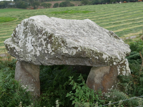 Mynydd Cefn Amlwch (Coetan Arthur) Burial Chamber, the Llyn Peninsula, North Wales, 26.8.16. This pr